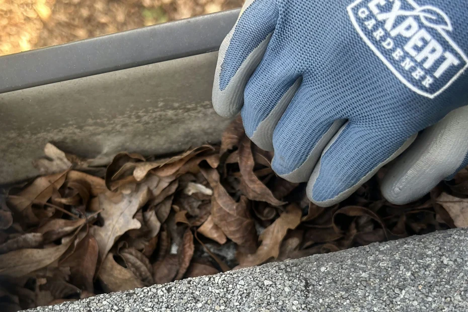 Gutter Cleaning Deerfield Beach FL