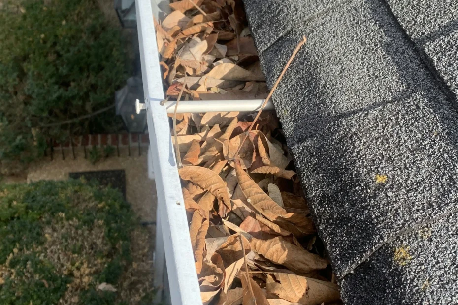 Gutter Cleaning Deerfield Beach FL